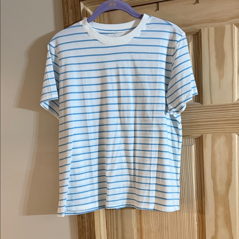 American Eagle Outfitters Light Blue and White Striped Tee